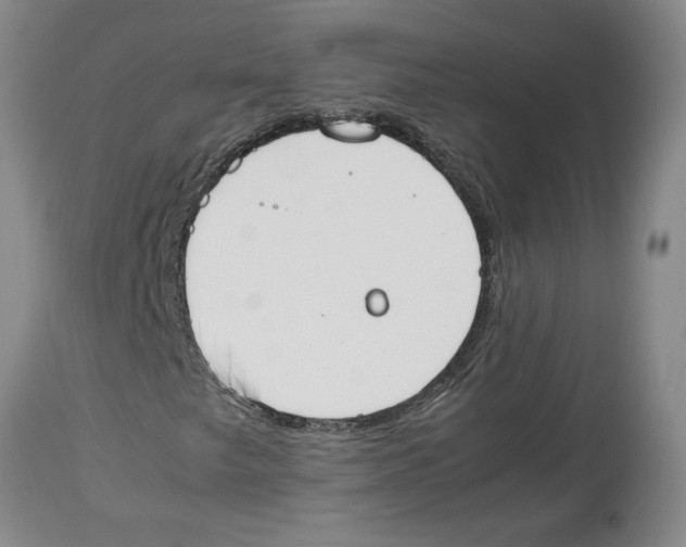 X0000113931249200910231913