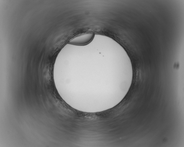 X0000113931250200910231913