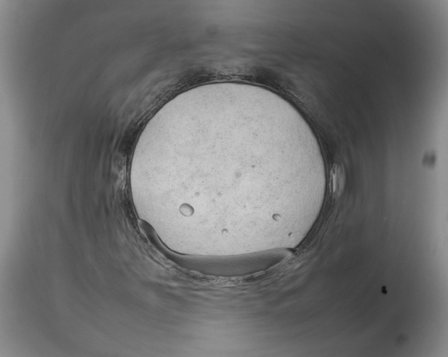 X0000113931251200910231913