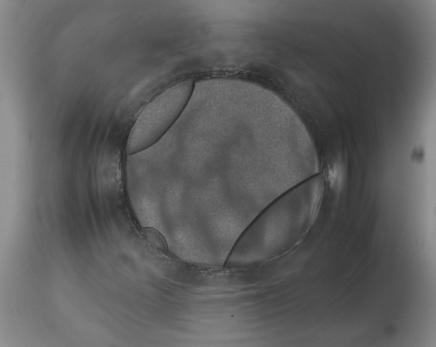 X0000113931252200910231913