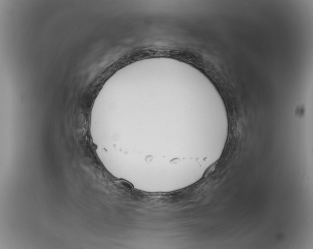 X0000113931253200910231913