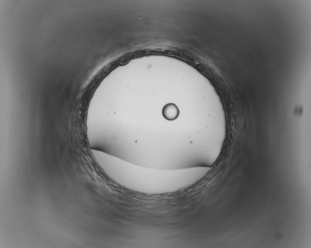 X0000113931256200910231913