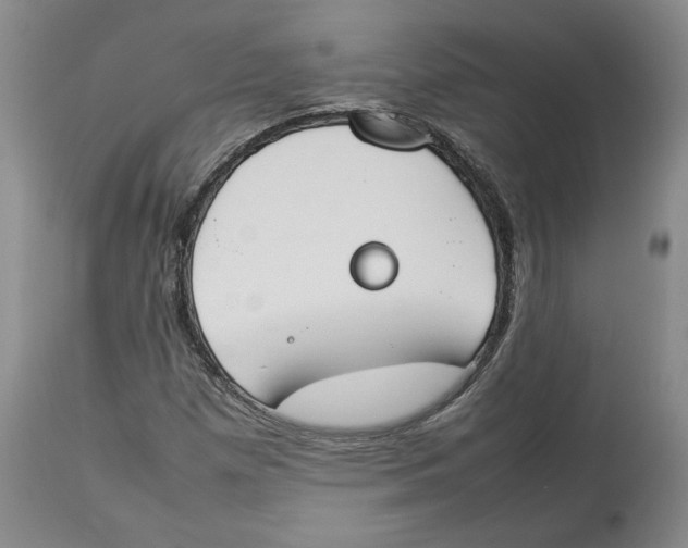 X0000113931257200910231913
