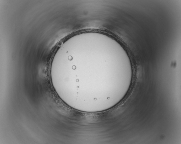 X0000113931258200910231913