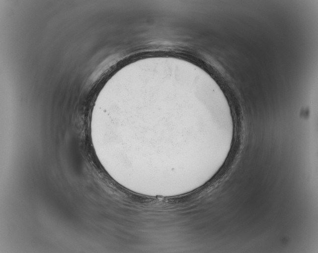 X0000113931259200910231913