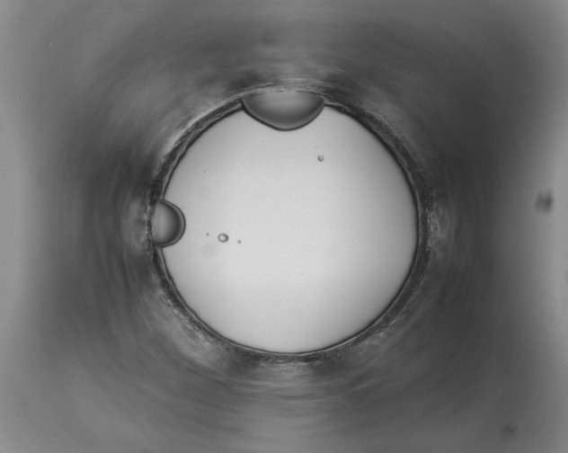 X0000113931260200910231913