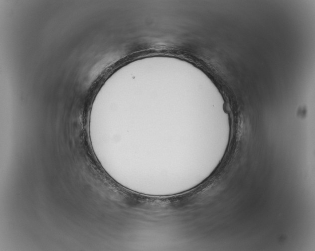 X0000113931261200910231913