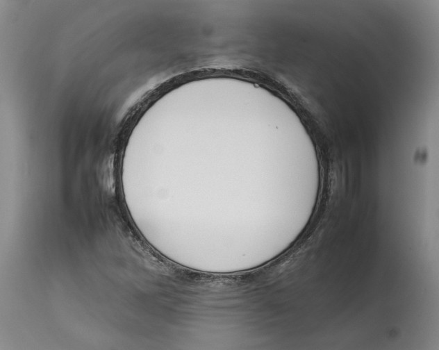 X0000113931262200910231913