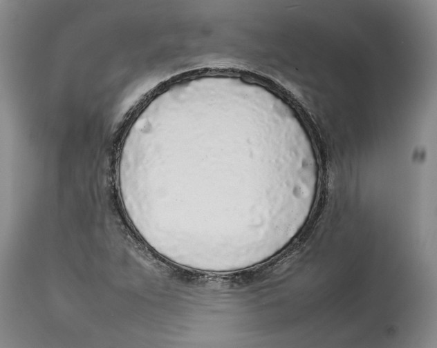 X0000113931263200910231913