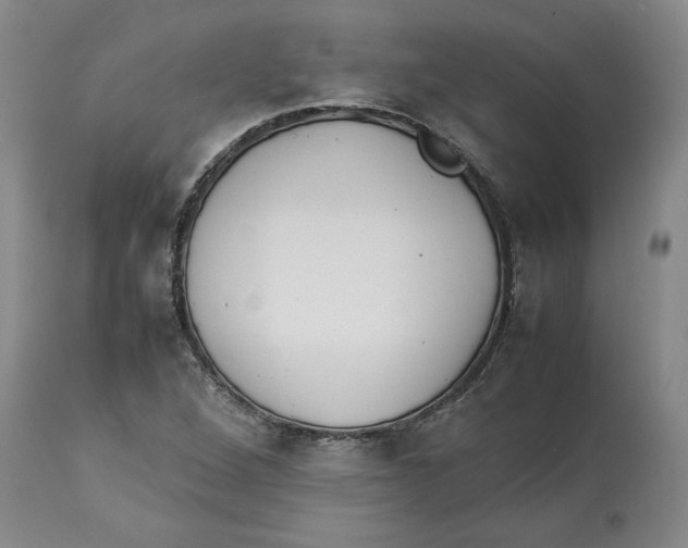 X0000113931264200910231913
