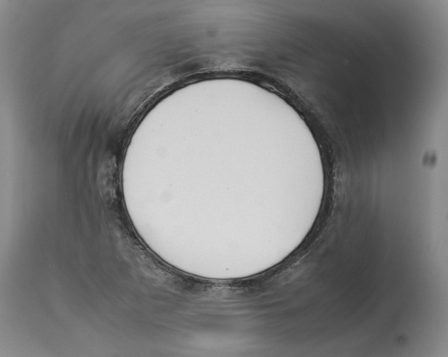 X0000113931265200910231913