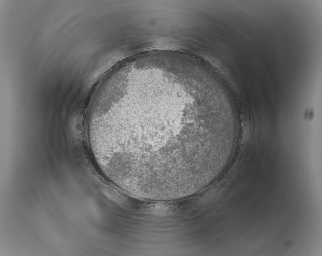 X0000113931266200910231913