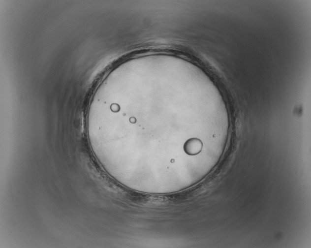 X0000113931267200910231913