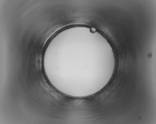 X0000113931268200910231913