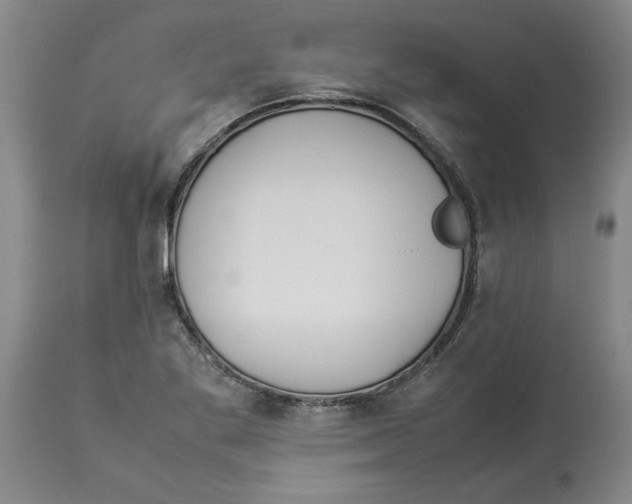 X0000113931269200910231913