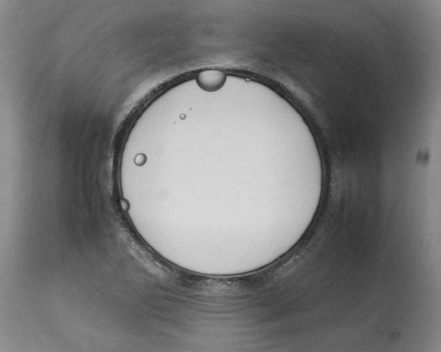 X0000113931270200910231913