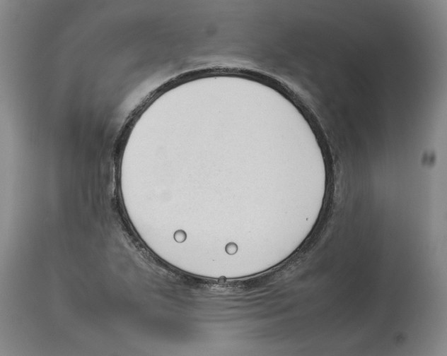 X0000113931271200910231913