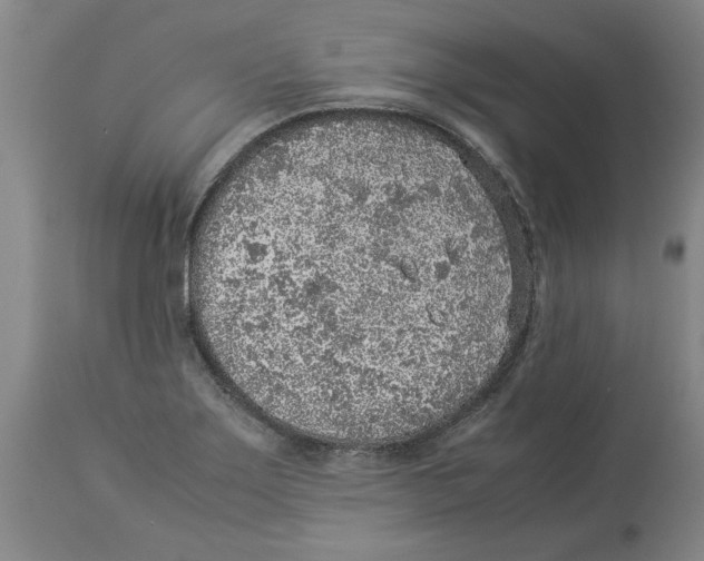 X0000113931275200910231913