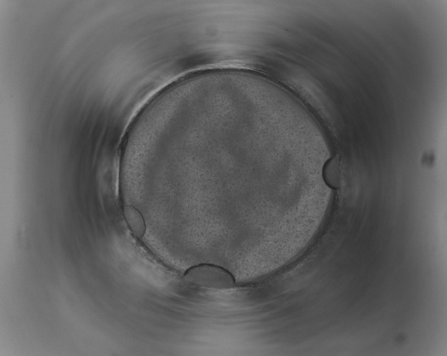 X0000113931276200910231913