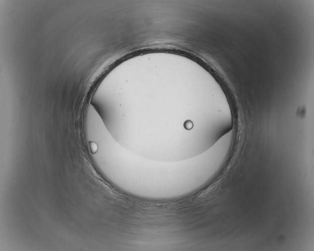 X0000113931277200910231913