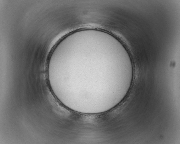 X0000113931278200910231913