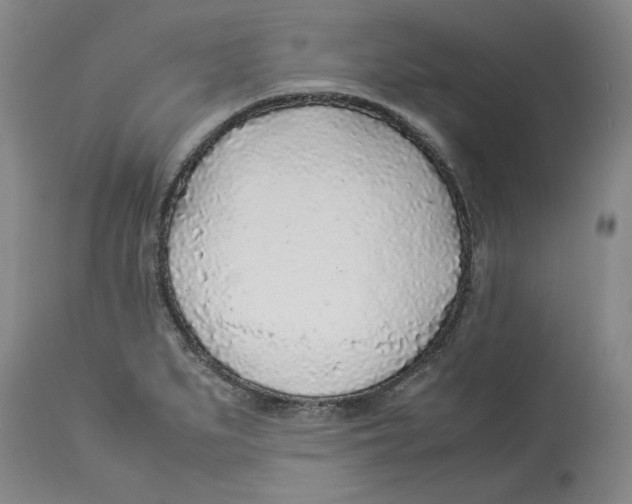 X0000113931279200910231913