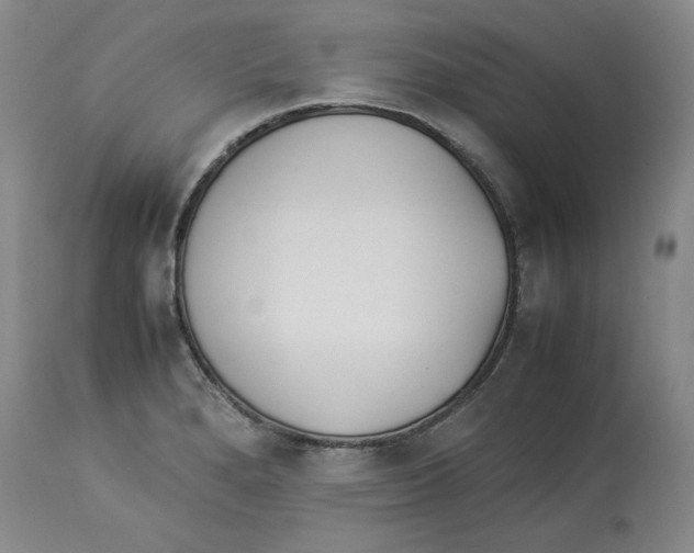 X0000113931280200910231913