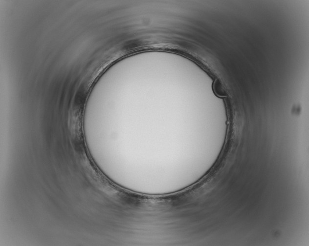 X0000113931281200910231913