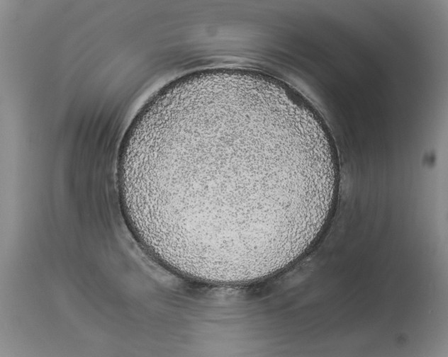 X0000113931283200910231913