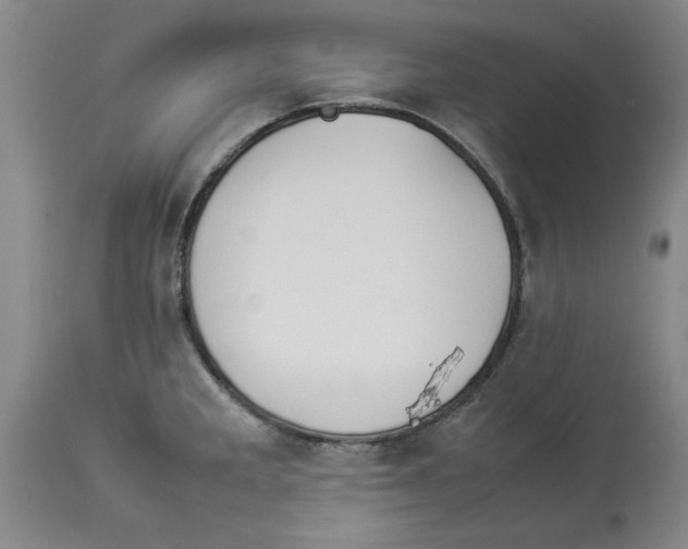 X0000113931285200910231913