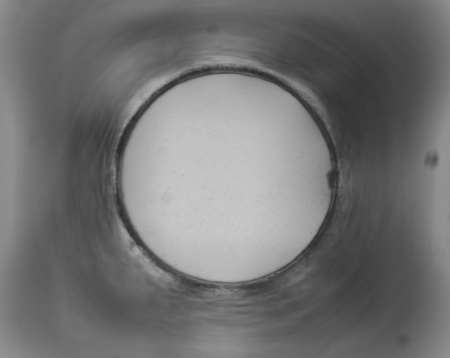 X0000113931287200910231913