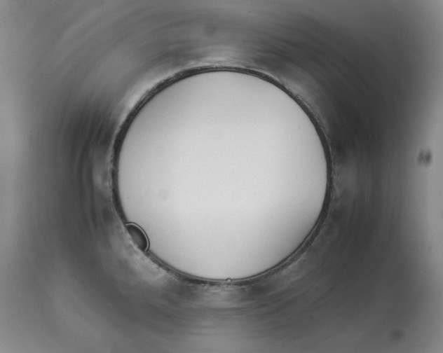 X0000113931288200910231913