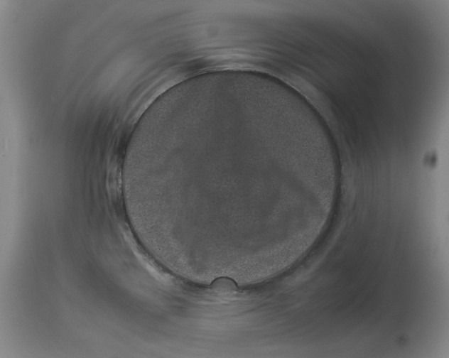 X0000113931289200910231913