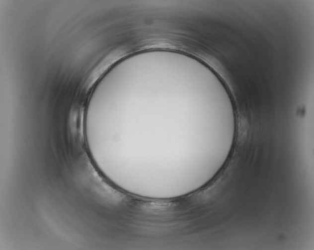 X0000113931290200910231913