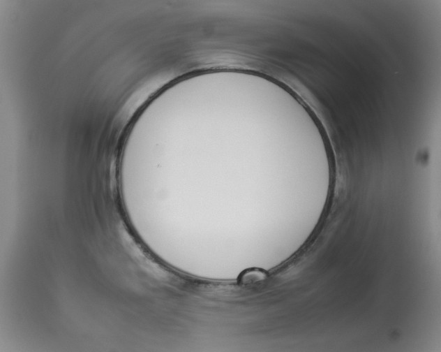 X0000113931293200910231913