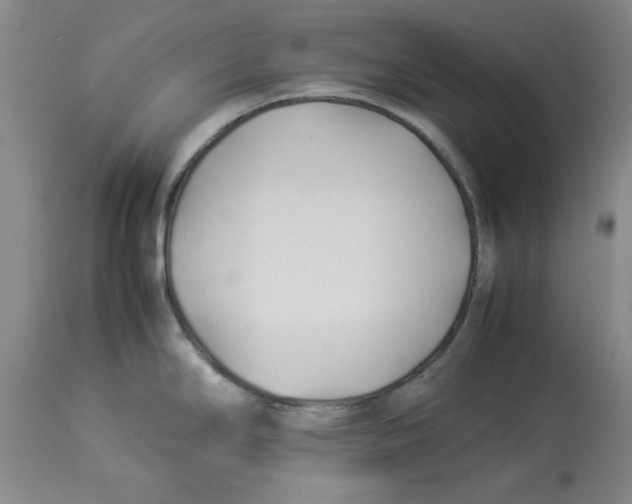 X0000113931294200910231913
