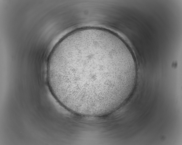 X0000113931295200910231913