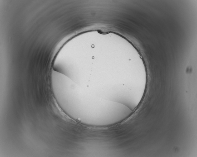 X0000113931296200910231913