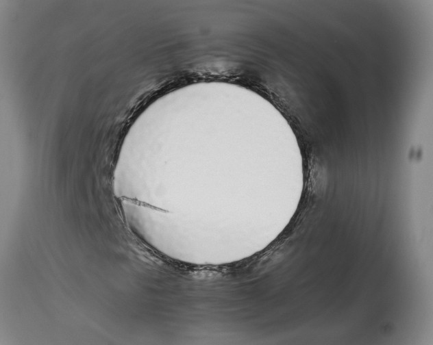 X0000113931297200910231912