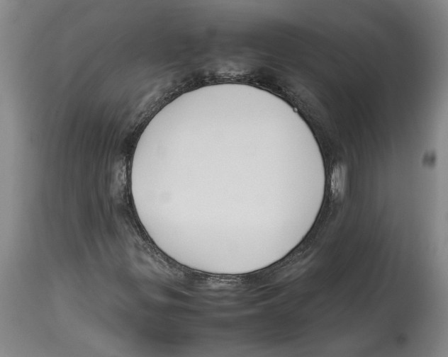 X0000113931299200910231912