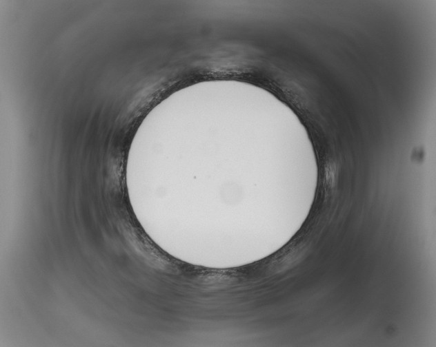 X0000113931300200910231912