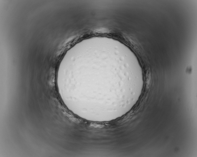 X0000113931301200910231912