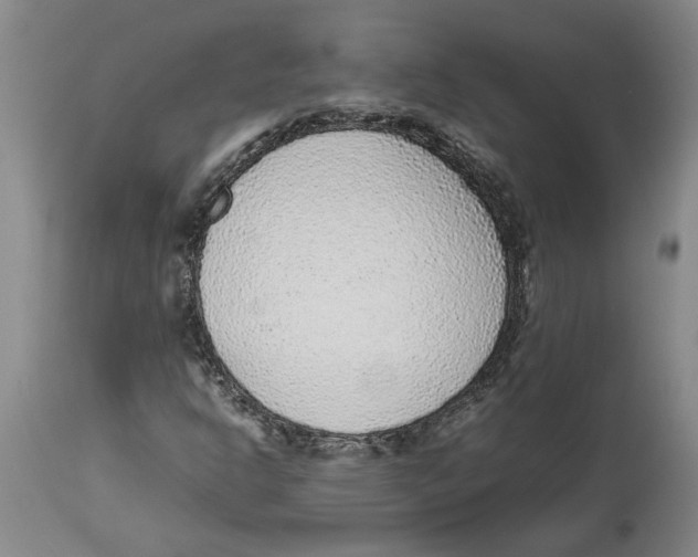X0000113931302200910231912