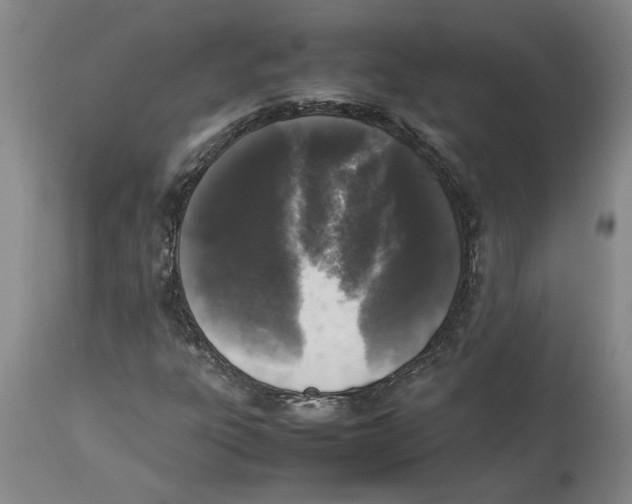 X0000113931303200910231912