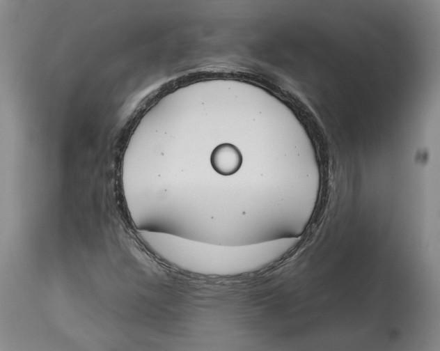 X0000113931304200910231912
