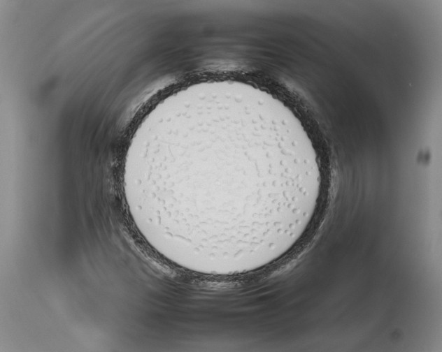 X0000113931305200910231912