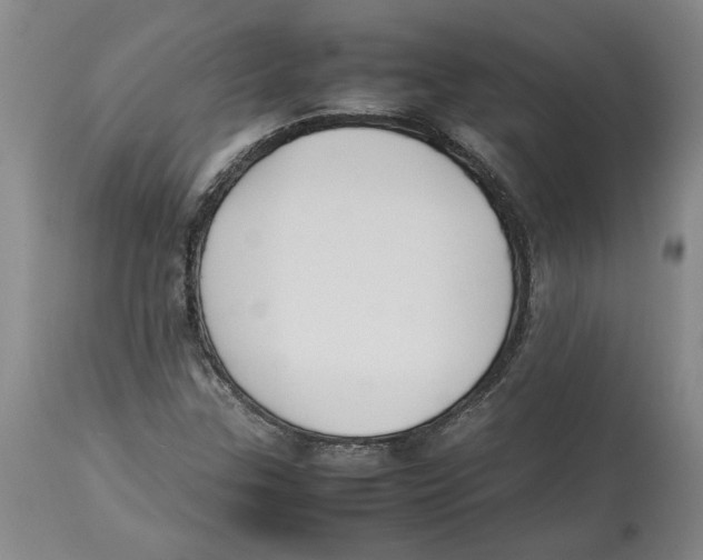 X0000113931307200910231912