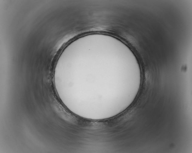 X0000113931308200910231912