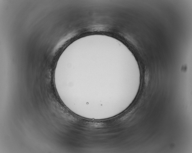 X0000113931309200910231912