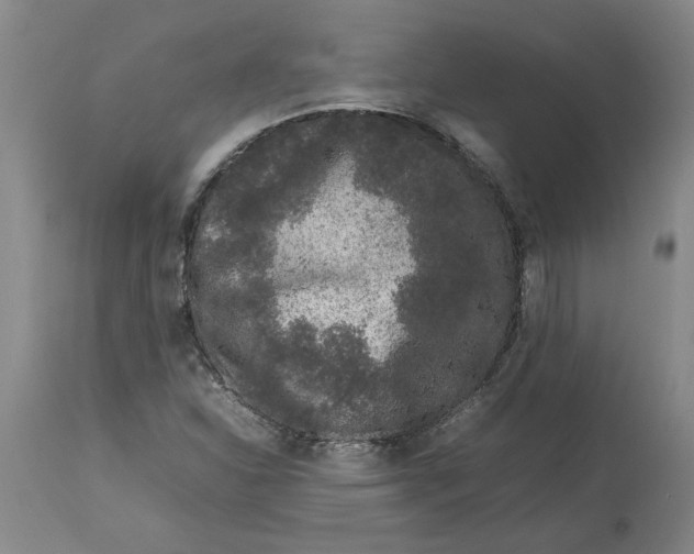 X0000113931310200910231912